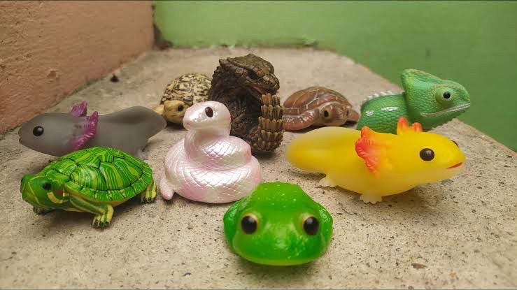 โมเดล สัตว์น่ารัก Tenori Friends 11 Reptiles & Amphibians by Bandai