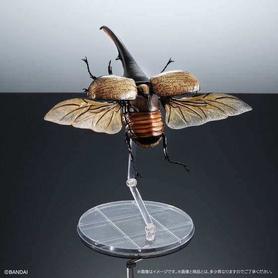 PRE-ORDER : Ikimono Encyclopedia Premium Hercules Beetle (Dynastes hercules)