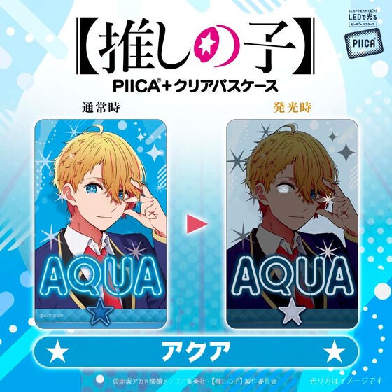 PRE-ORDER : PIICA+ Clear Pass Case