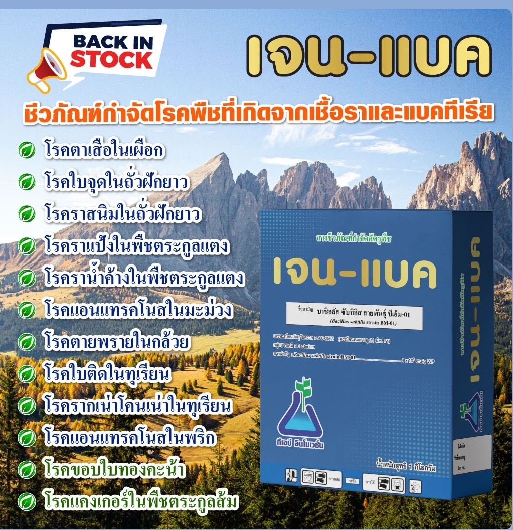 เจน-แบค(500 กรัม):แบคทีเรียเชื้อพิฆาตินักทำลายเขี้อสาเหตุโรคพืช ออกฤทธิ์กำจัดเชื้อโรคที่แผลได้ทันทีไม่เเพ้การสารเคมีแต่ปลอดภัยต่อชิวิตท่านเเละผู้บริโภค หรือจะใช้เชิงป้องกันไม่ให้เชื้อโรคร้ายระบาดล่วงหน้าไม่ว่าเชือร้ายจะมาทางดินเเละน้ำ(ราก) หรือจะมาทางอากา