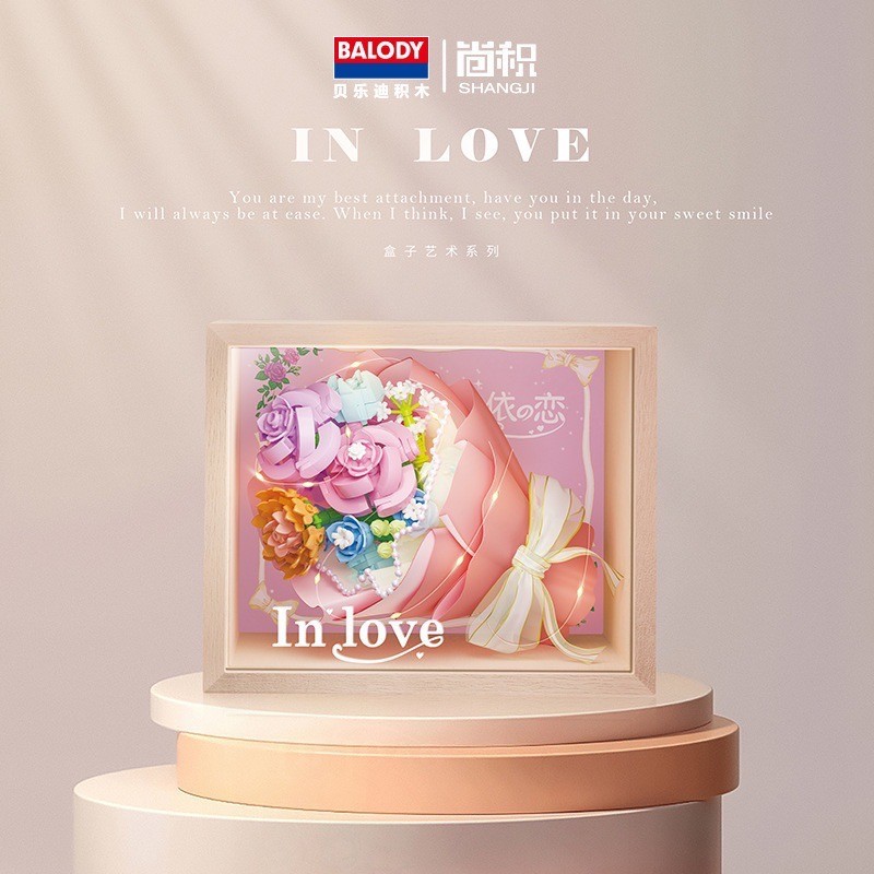 ตัวต่อไซส์ Jumbo Balody 16359 / 21235 - Frame of Memory (มีไฟ)