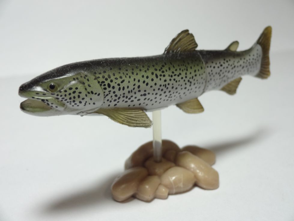 กาชาปอง Freshwater Fish Collection vol. 1 Gashapon (Set of 13) by Yujin