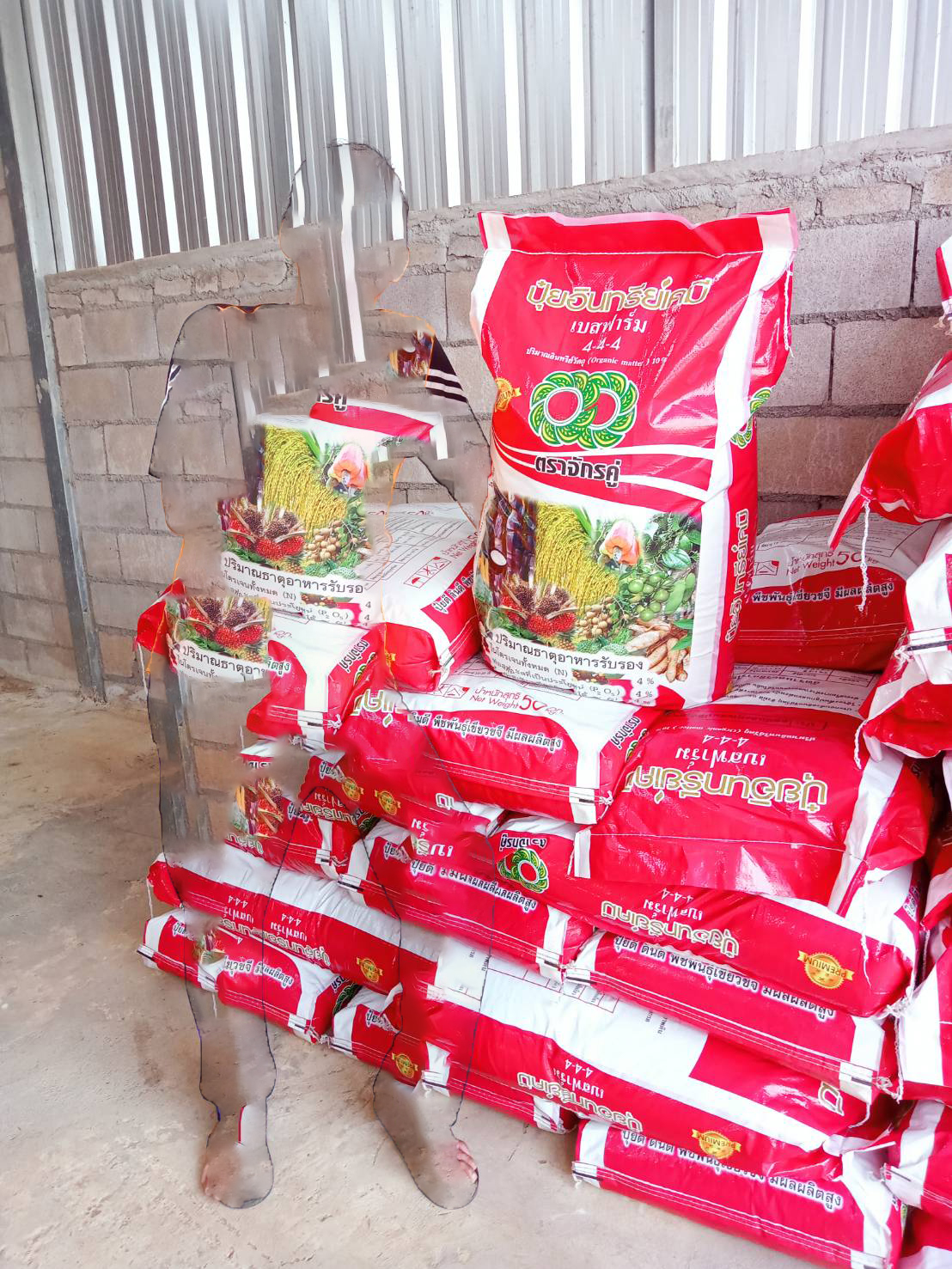 อินทรีย์ 4-4-4 จักรคู่สีแดง สำหรับสะสมอาหาร บำรุงต้น บำรุงดอก บำรุงผล มีส่วนผสมมูลค้างคาว 10% อะมิโนฮิวมิก และไตรโครเดอมาร์ อินทรีย์วัตถุOM. 10%