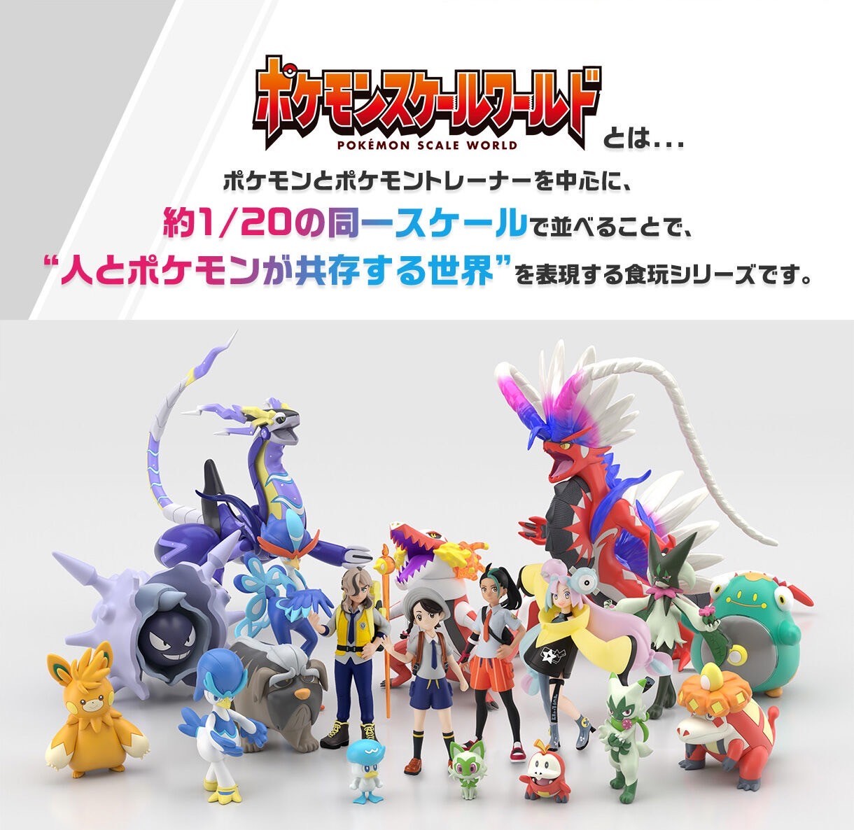 PRE-ORDER : Pokemon Scale World Paldea Region Koraidon / Miraidon