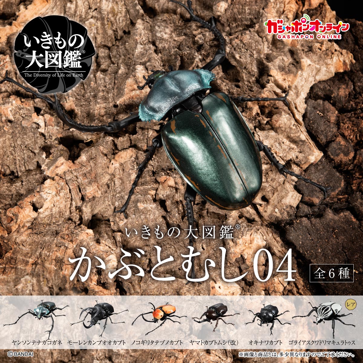 Ikimono Encyclopedia Beetle 04