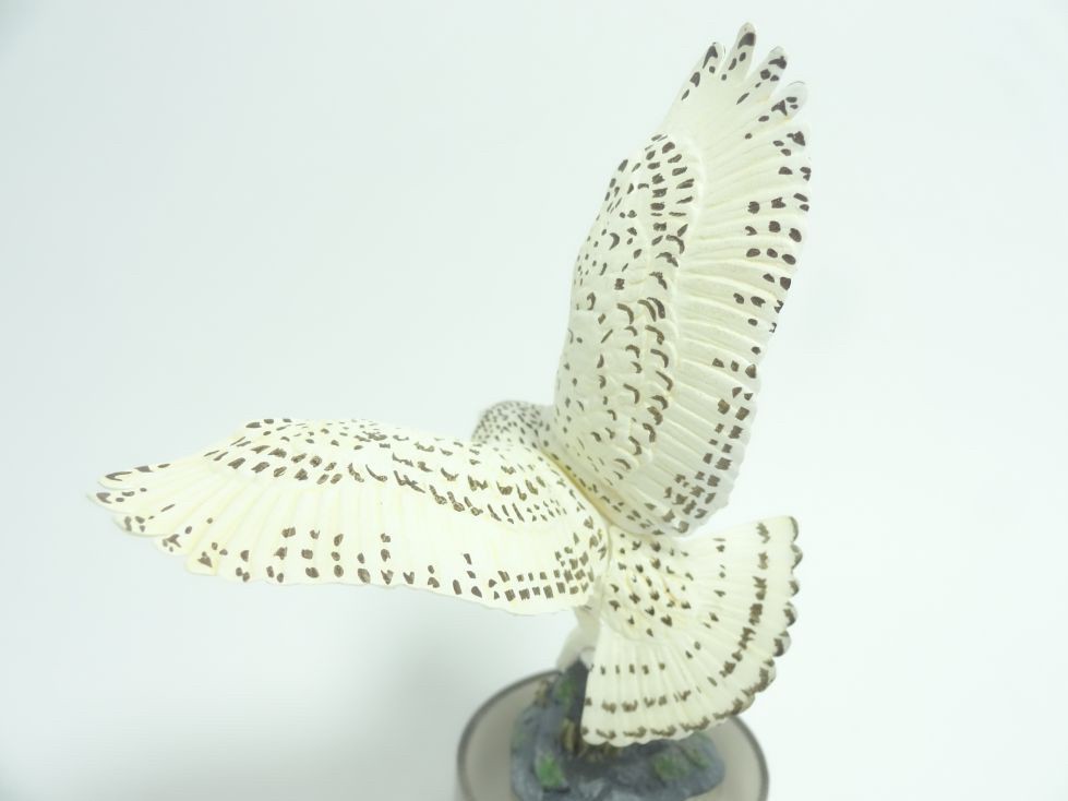 งานฝา กาชาปอง Yokohama Zoo Zoorasia Lunch Jungle Cracker Bottle Cap Trading Figure Collection by Kaiyodo (Set of 9)