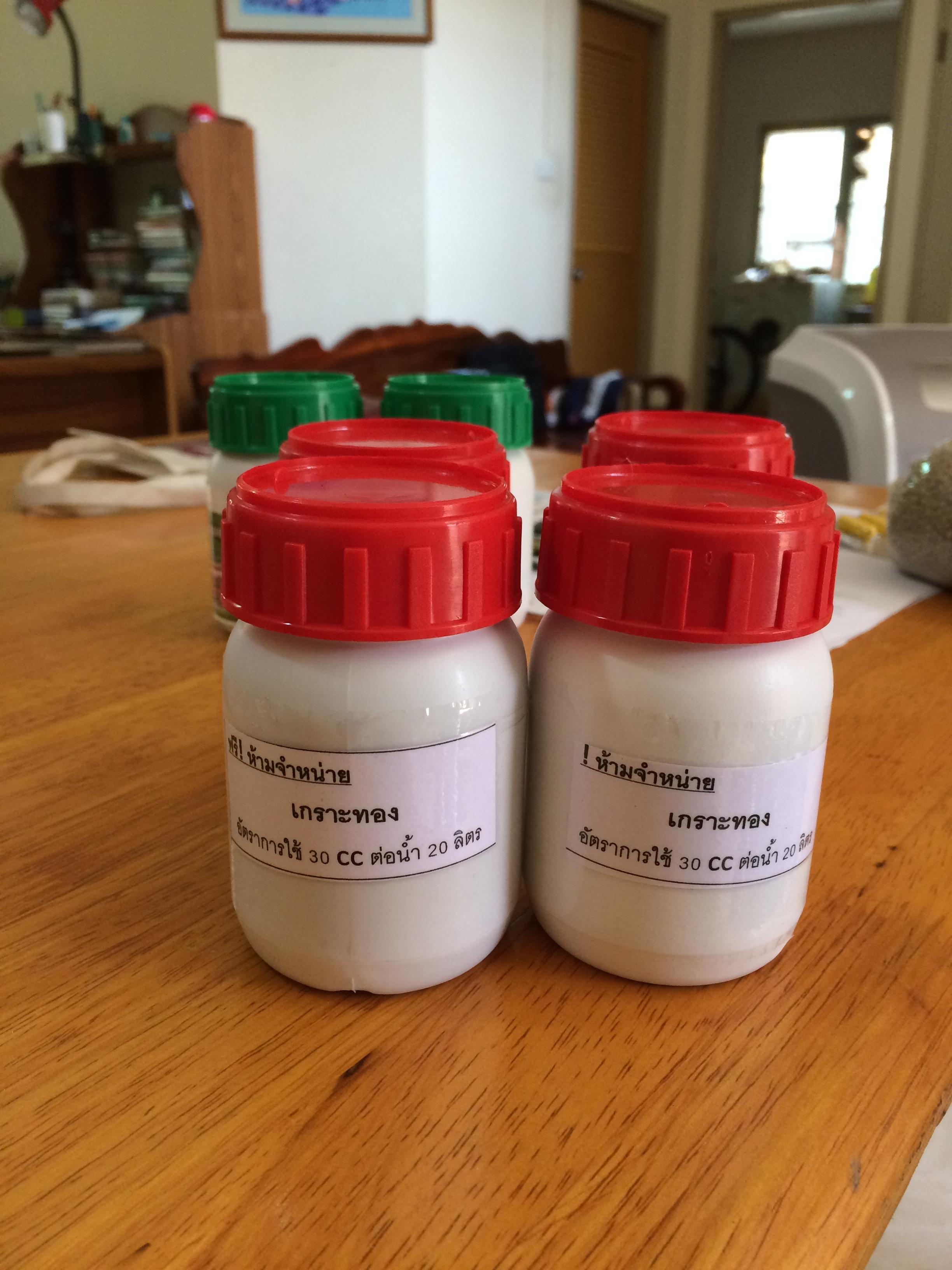 ซามูไร525(1000ซีซี) ปุ๋ยน้ำCaO 3% พลัสฮอร์โมนเพิ่มการต้านทานแมลง เร่งการเจริญเติบโต เห็นผลเร็ว ขั้วเหนียว ลดการหลุดล่วง