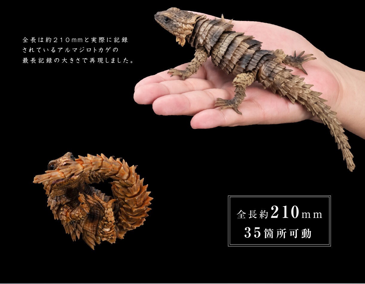 PRE-ORDER : Ikimono Encyclopedia Advance Armadillo Lizards (Random)