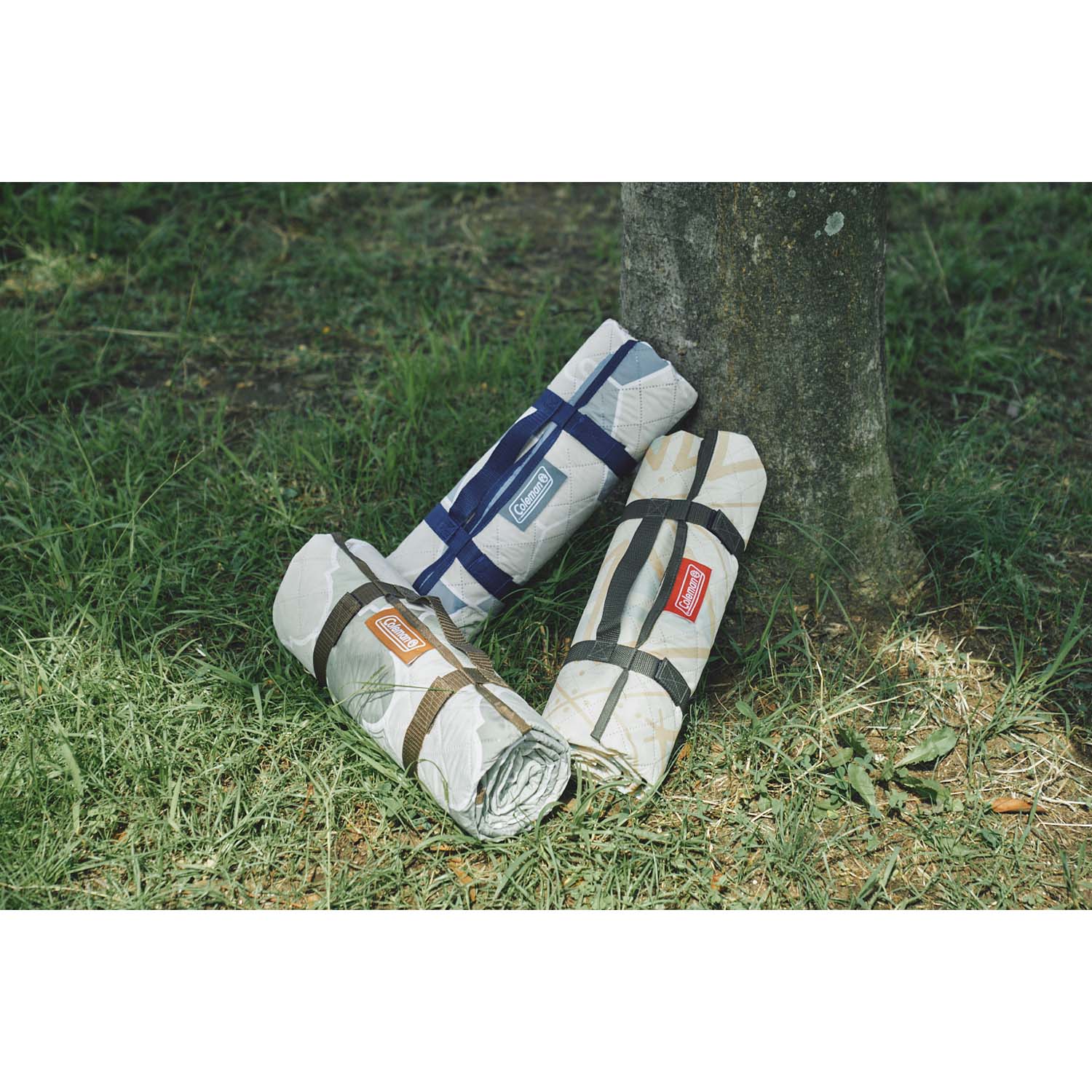 เสื่อพับพกพา Coleman Picnic Mat