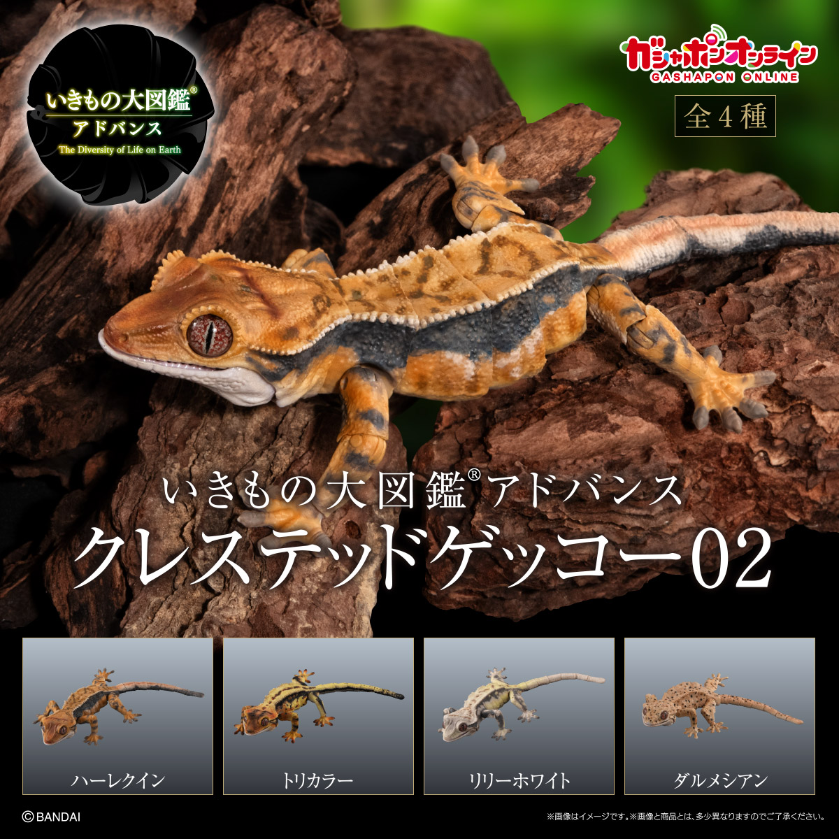 $R Ikimono Encyclopedia Advance Crested Gecko 02 (PB)