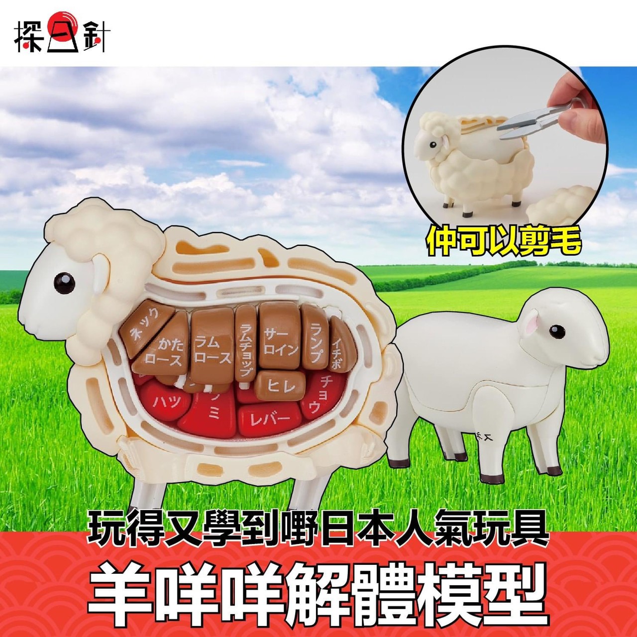 ตัวต่อพัซเซิ่ล 3D Kaitai Puzzle Series 3D by Megahouse (JAPANESE Ver.)