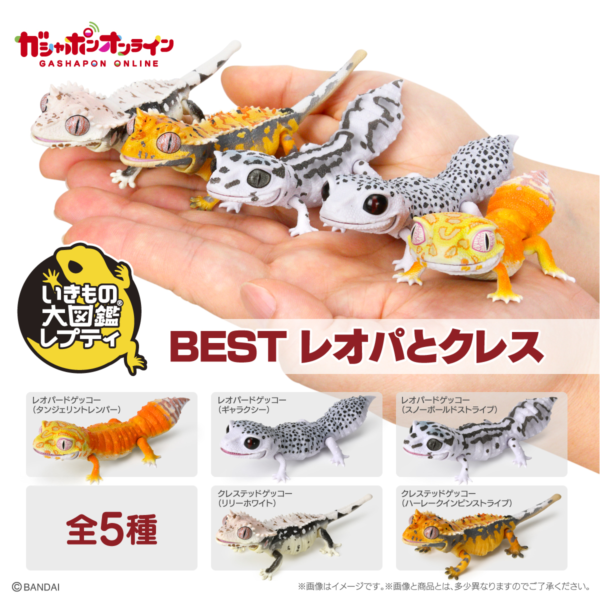 $ Ikimono Encyclopedia Reptile BEST Leopard Gecko & Crested Gecko