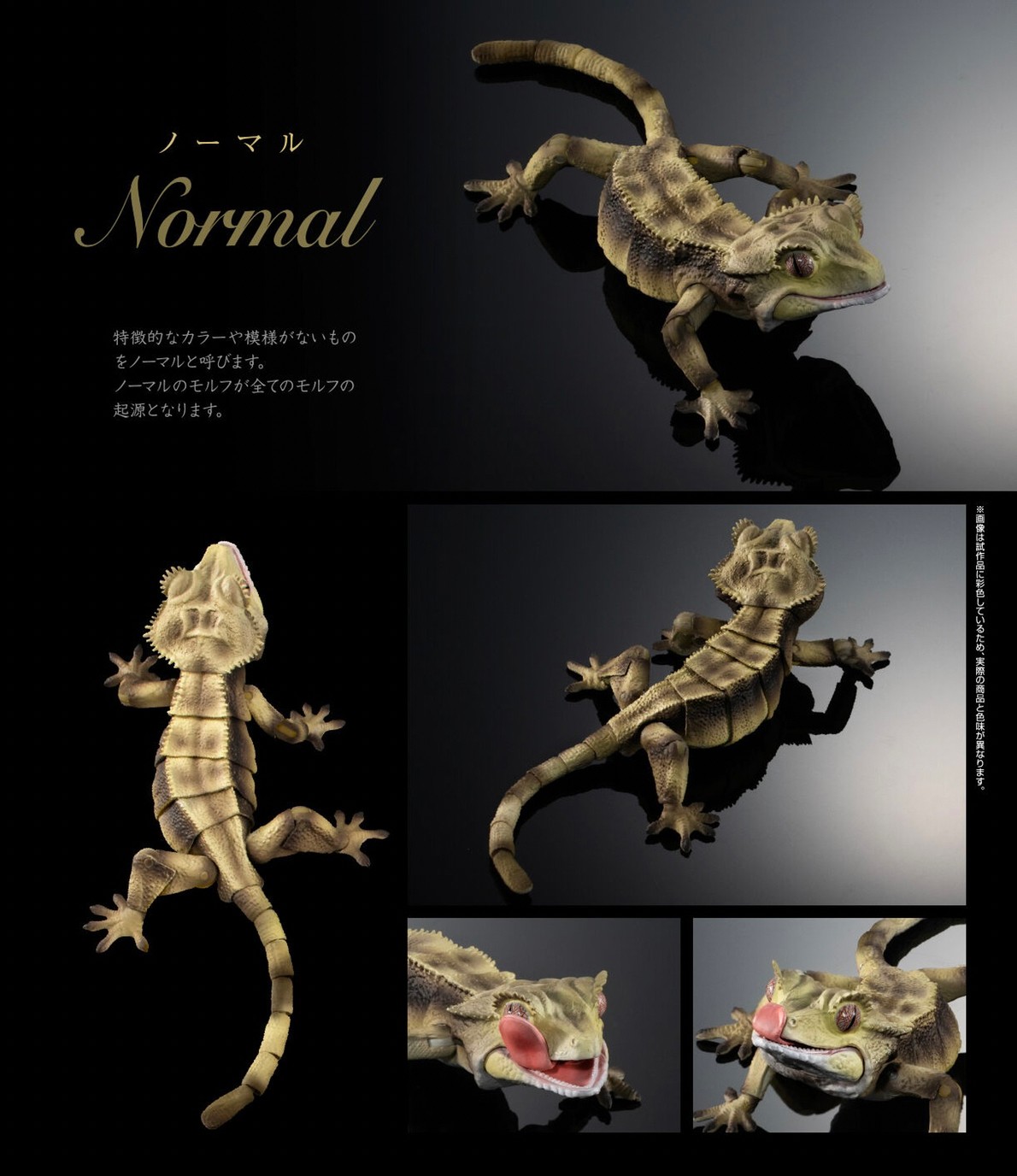 PRE-ORDER : Ikimono Encyclopedia Advance Crested Gecko (Random)