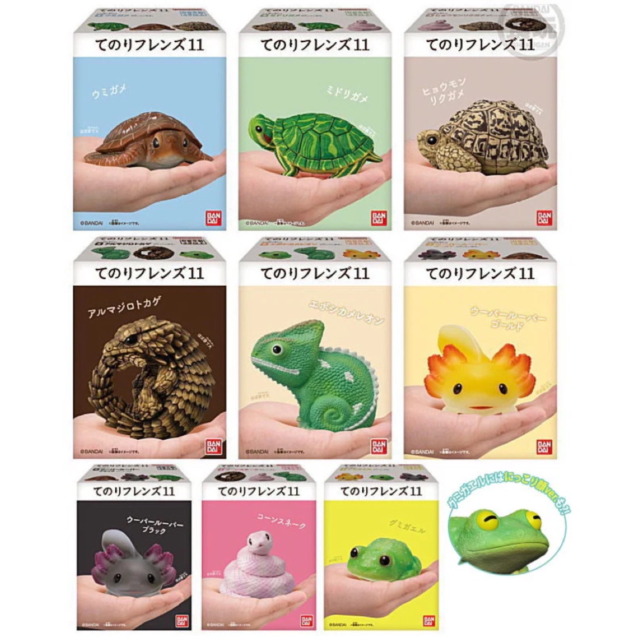 โมเดล สัตว์น่ารัก Tenori Friends 11 Reptiles & Amphibians by Bandai