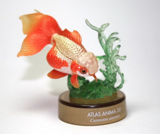 งานฝา สัตว์น้ำ New Enoshima Aquarium World Museum ATLAS ANIMA 3D Bottle Cap Collection (Set of 8) by Kaiyodo