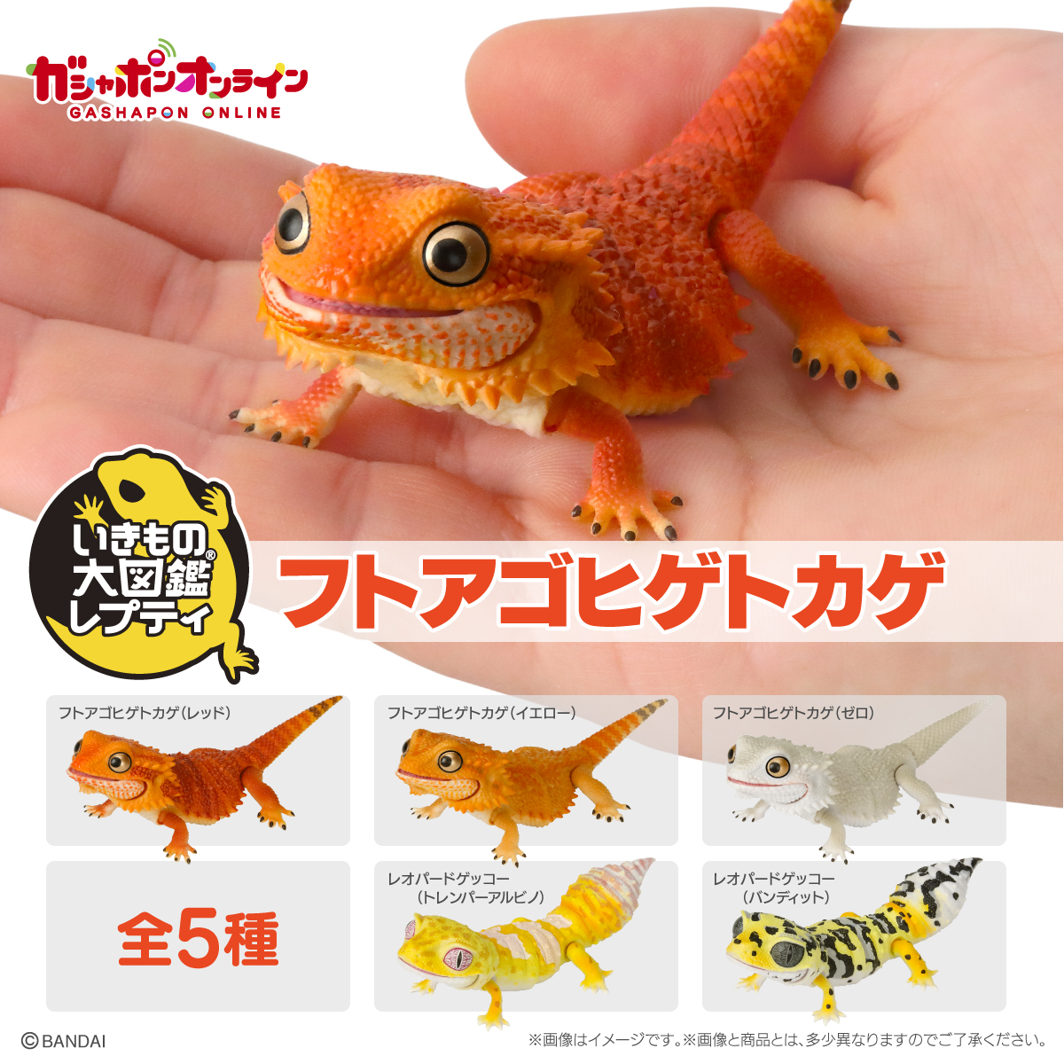 $ Ikimono Encyclopedia Reptile Bearded Dragon 01