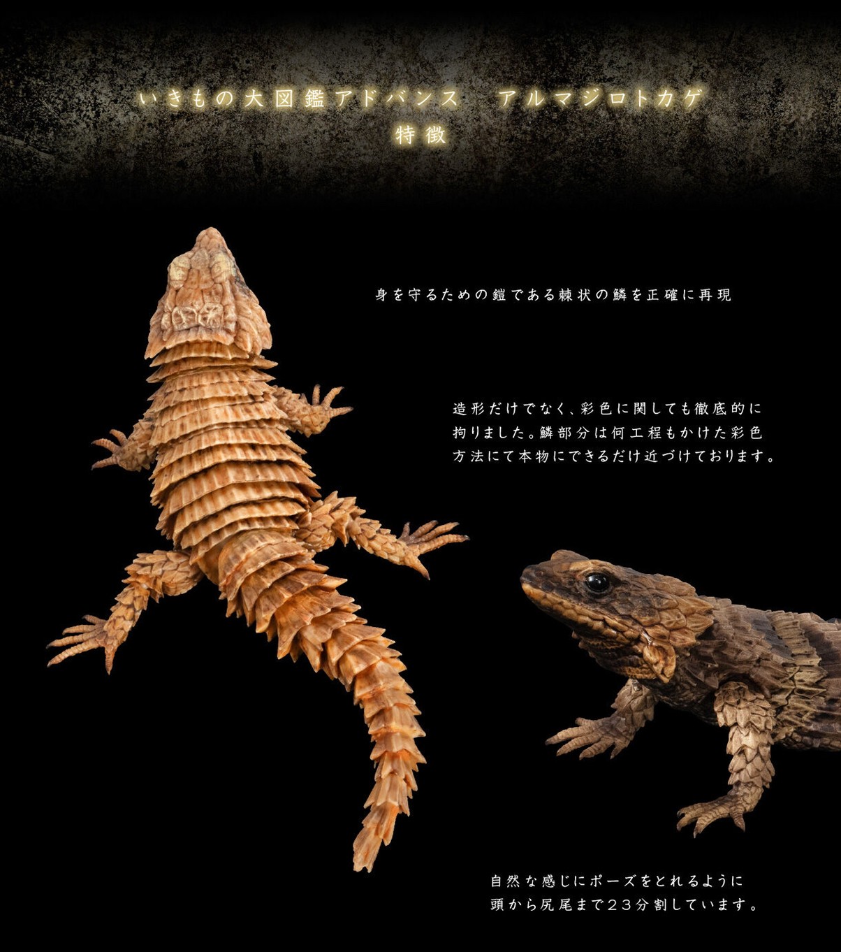 PRE-ORDER : Ikimono Encyclopedia Advance Armadillo Lizards (Random)