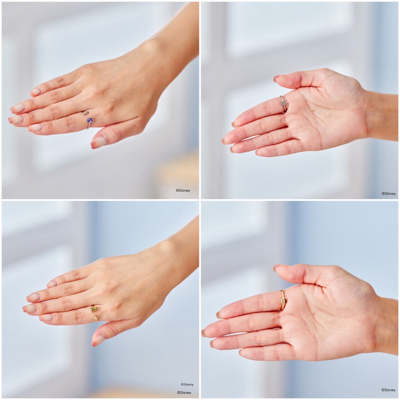 PRE-ORDER : Zootopia Set Ring