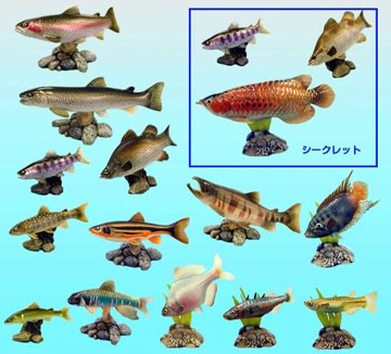 กาชาปอง Freshwater Fish Collection vol. 1 Gashapon (Set of 13) by Yujin