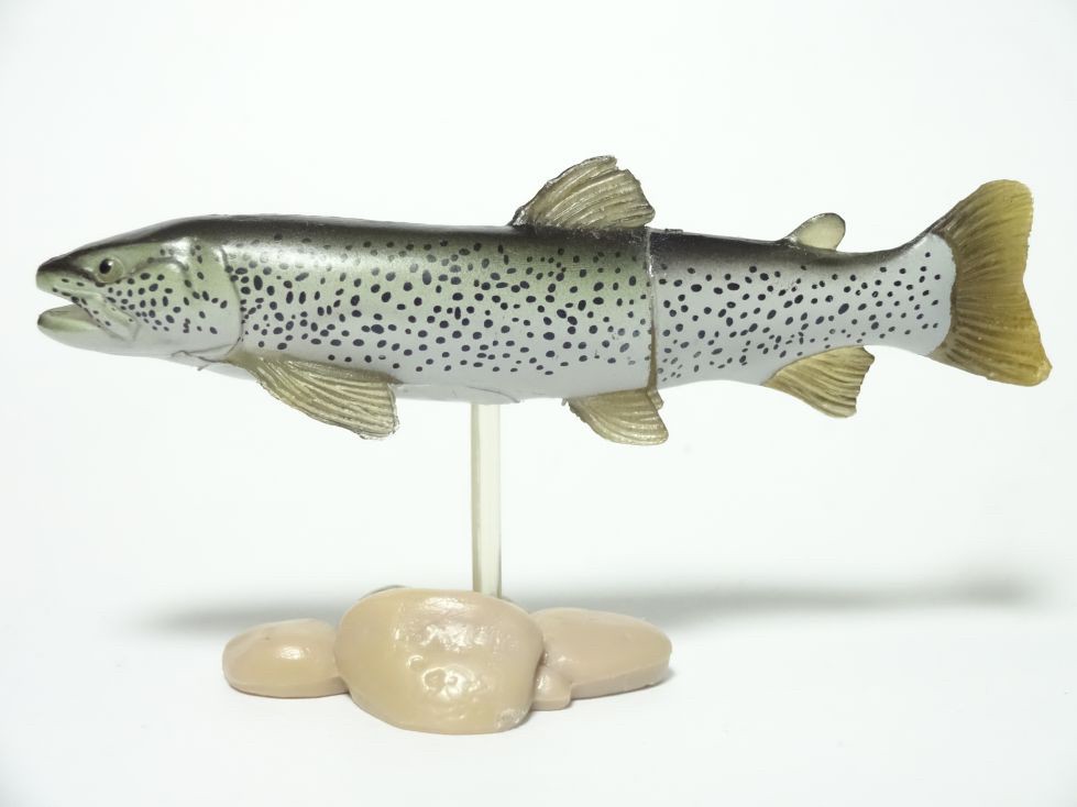 กาชาปอง Freshwater Fish Collection vol. 1 Gashapon (Set of 13) by Yujin