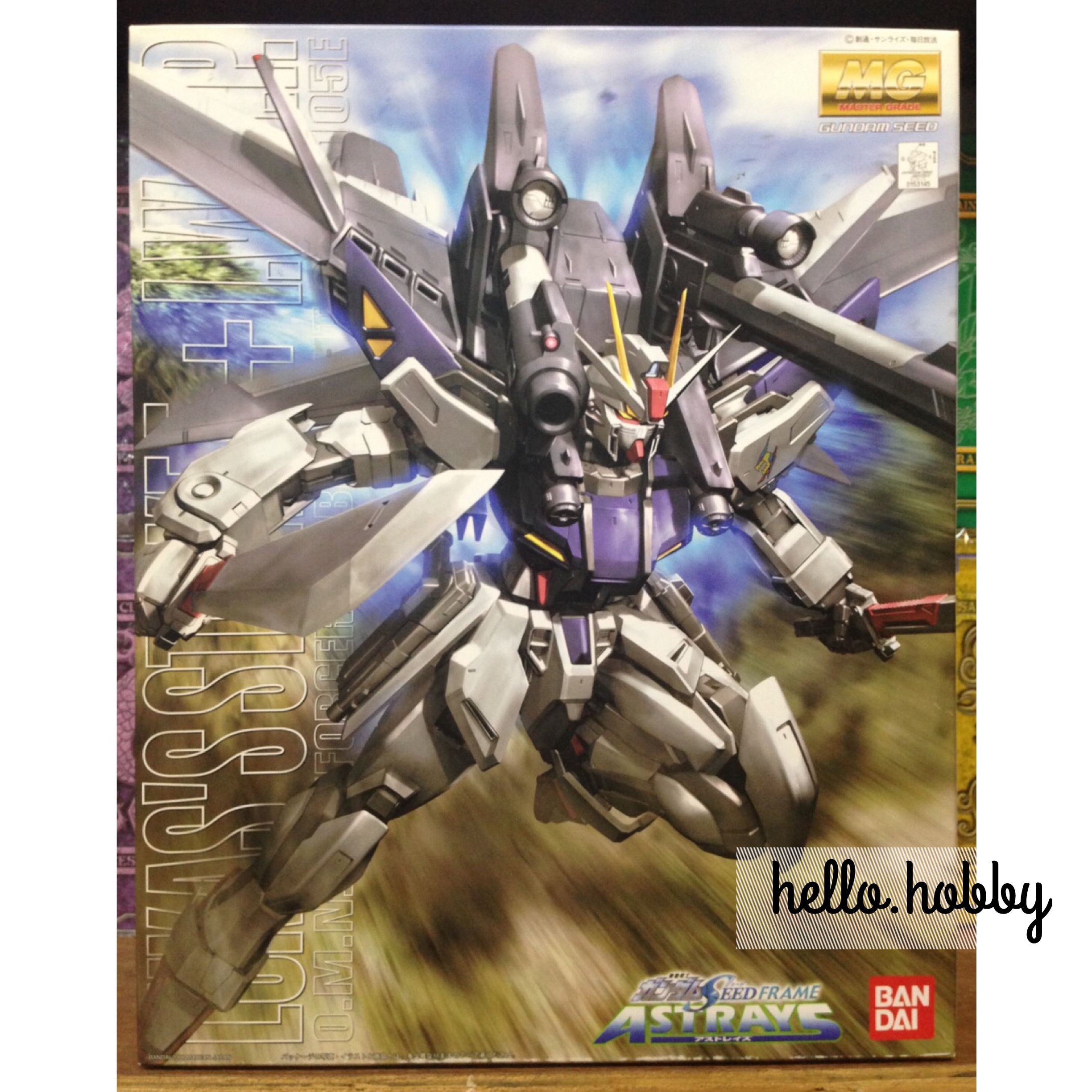 MG 1/100 GAT-X105E Strike E+I.W.S.P Lukas O'Donnell Custom by Bandai