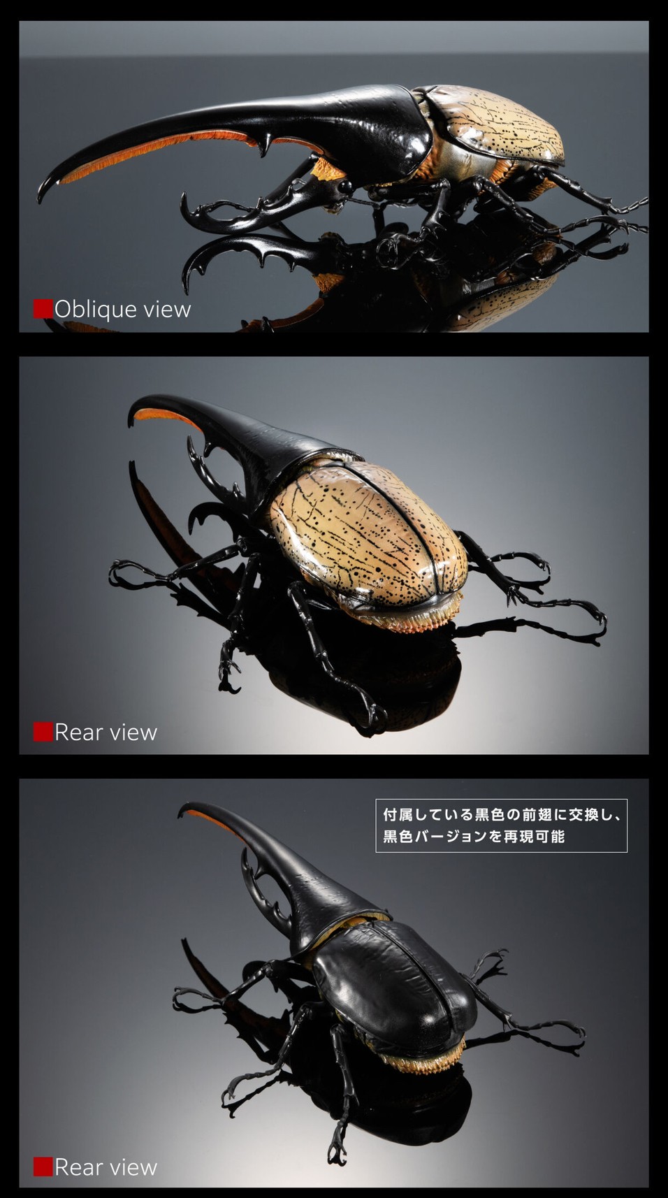PRE-ORDER : Ikimono Encyclopedia Premium Hercules Beetle (Dynastes hercules)