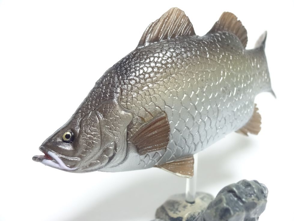 กาชาปอง Freshwater Fish Collection vol. 1 Gashapon (Set of 13) by Yujin
