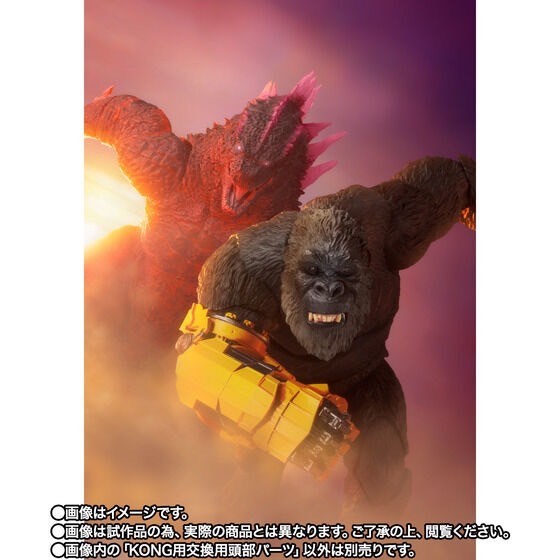 PRE-ORDER : S.H.MonsterArts SHIMO FROM GODZILLA x KONG: THE NEW EMPIRE