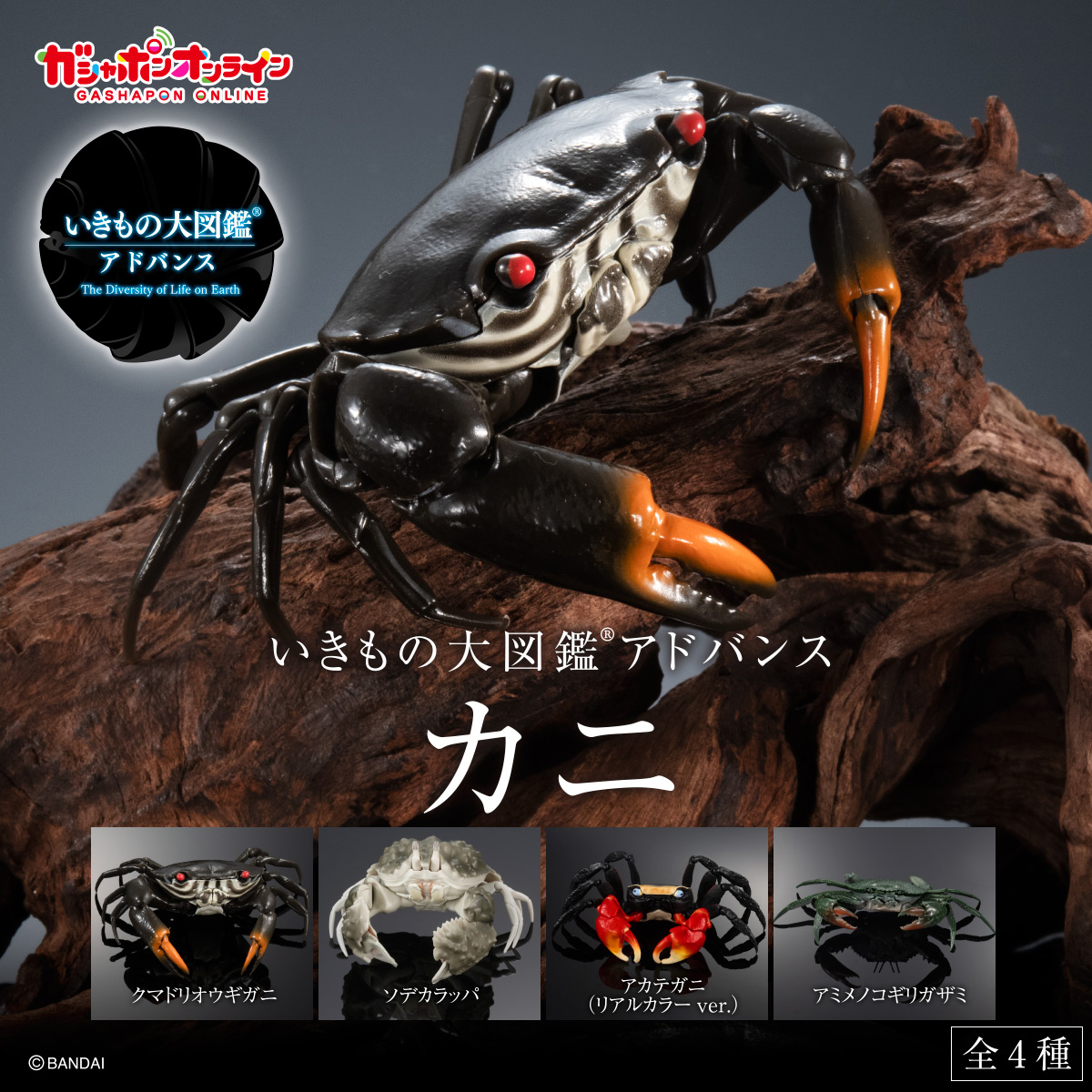$ Ikimono Encyclopedia Advance Crab 01 (PB)