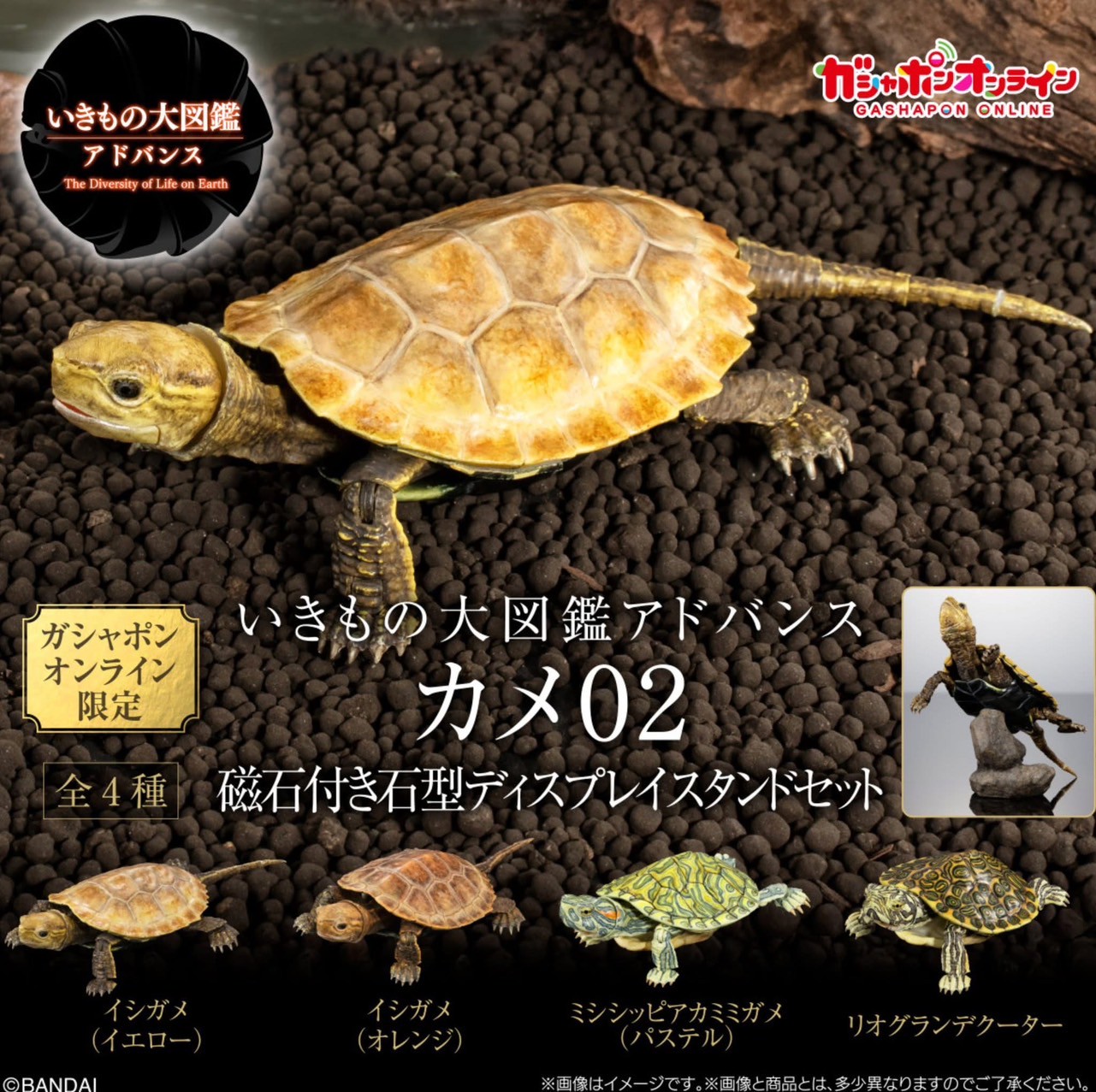 Pre-order : Advance Turtle 02 Display Stand Set by Bandai