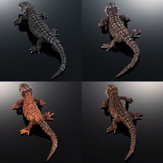 PRE-ORDER : Ikimono Daizukan Red-eyed Crocodile Lizard and Motoikabuto Lizard (Random)