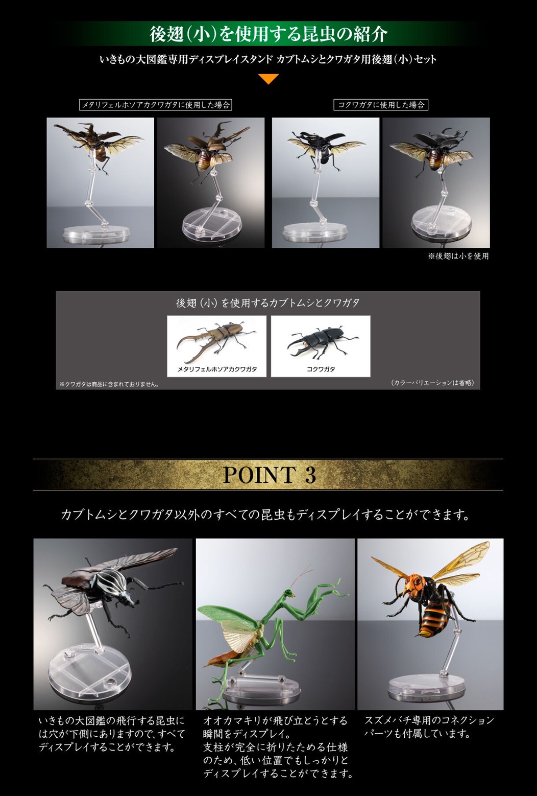 PRE-ORDER : Display Stand for Beetles and Stag Beetles Set for Exclusive Use of Ikimono Encyclopedia