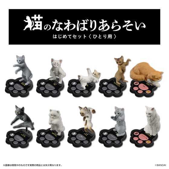 PRE-ORDER : Cat's Territory Battle First Set <For One Person>