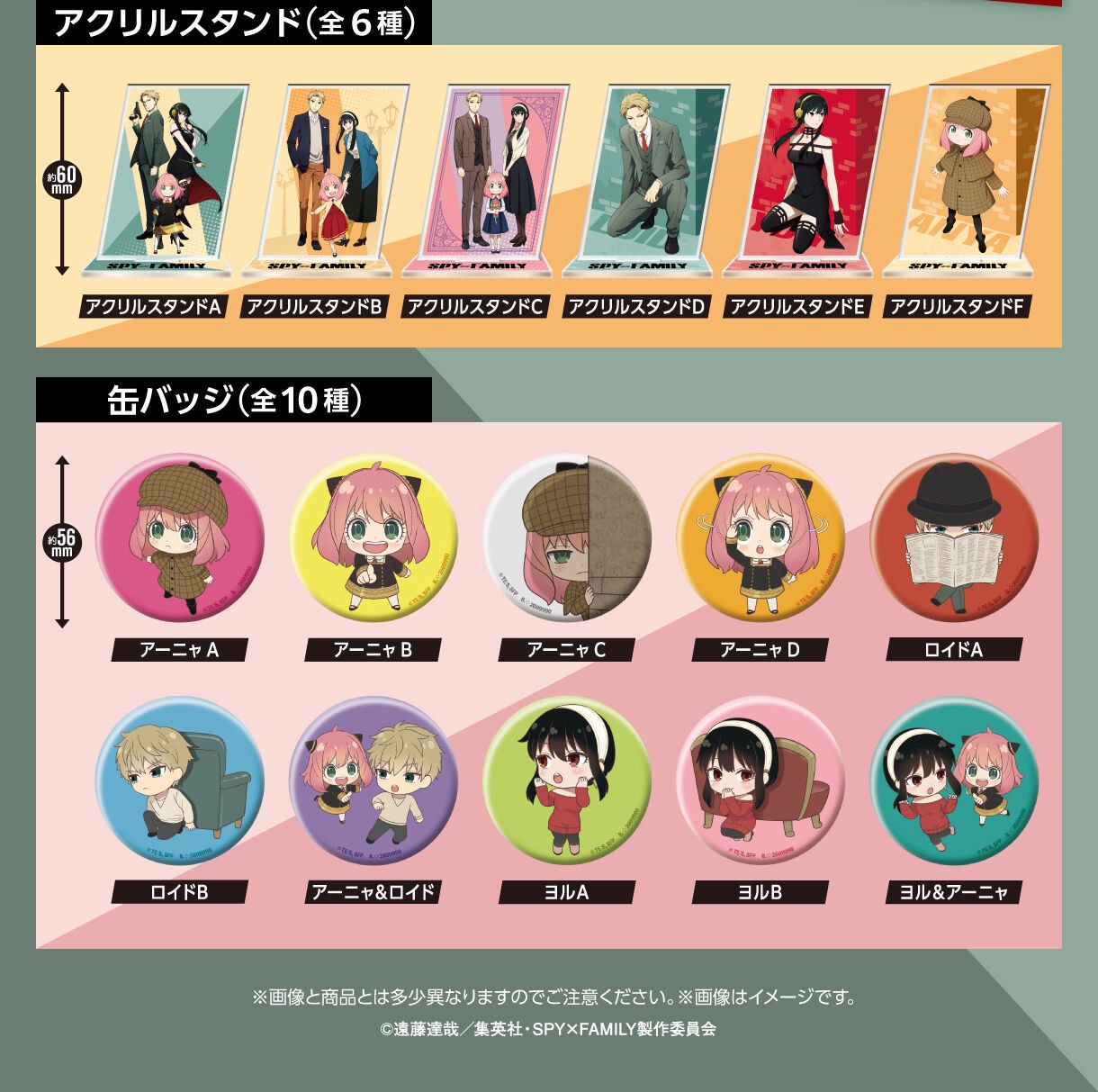 PRE-ORDER : SPY x FAMILY Asoto Collection (Random)