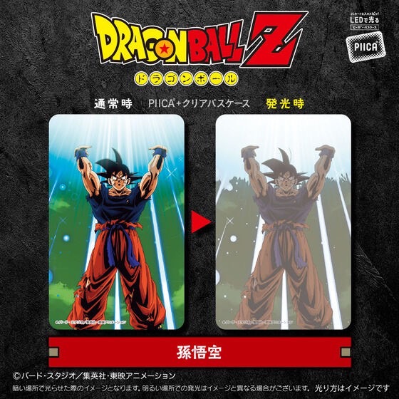 PRE-ORDER : DRAGON BALL Z PIICA+ Clear Pass Case (10 types)