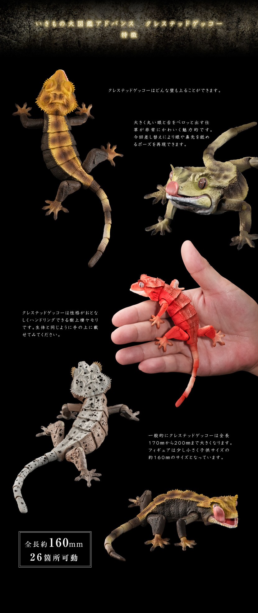 PRE-ORDER : Ikimono Encyclopedia Advance Crested Gecko (Random)