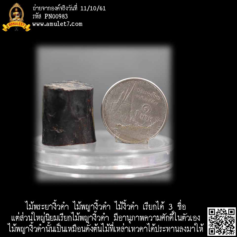 ไม้พระยางิ้วดำ ไม้พญางิ้วดำ ไม้งิ้วดำ เรียกได้ 3 ชื่อ แต่ส่วนใหญ่นิยมเรียกไม้พญางิ้วดำ มีอานุภาพความศักดิ์ในตัวเอง ไม้พญางิ้วดำนั้นเป็นเหมือนดั่งต้นไม้ที่เหล่าเทวดาได้ประทานลงมาให้