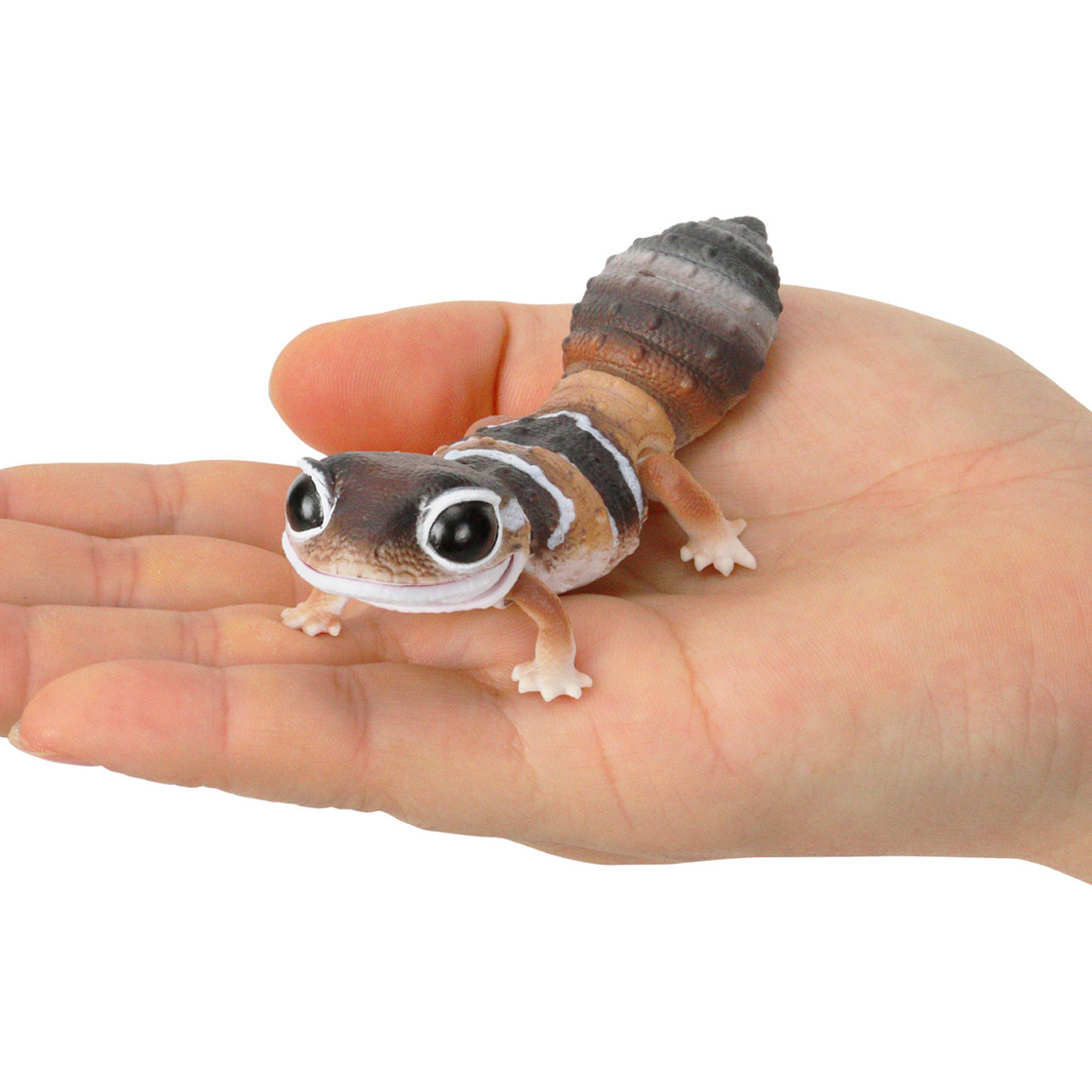 $ Ikimono Encyclopedia Reptile African Fat-tailed Gecko