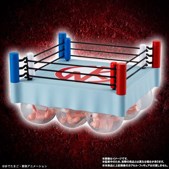 PRE-ORDER : Kinkeshi Official Ring Five Rings of Death Set (Bonus Included)