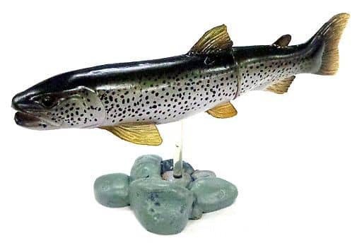 กาชาปอง Freshwater Fish Collection vol. 1 Gashapon (Set of 13) by Yujin