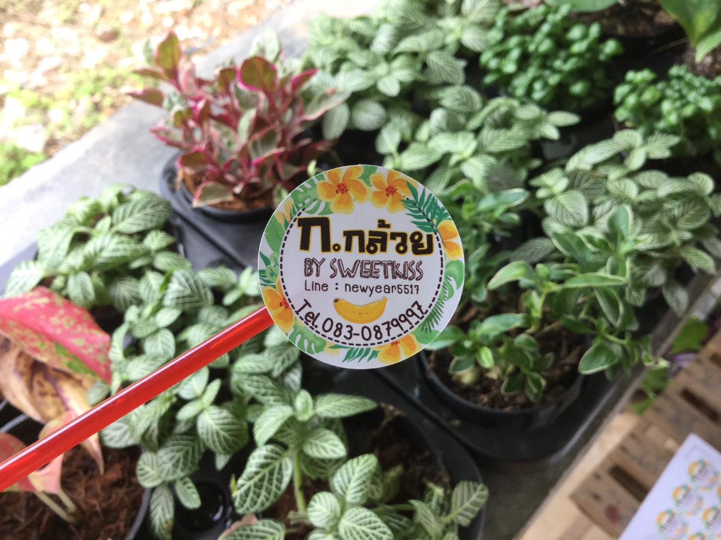 สติ๊กเกอร์ฉลากสินค้า ราคาประหยัด
