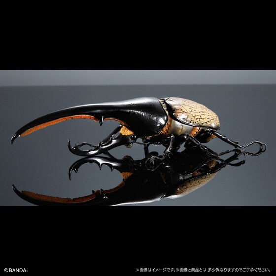 PRE-ORDER : Ikimono Encyclopedia Premium Hercules Beetle (Dynastes hercules)