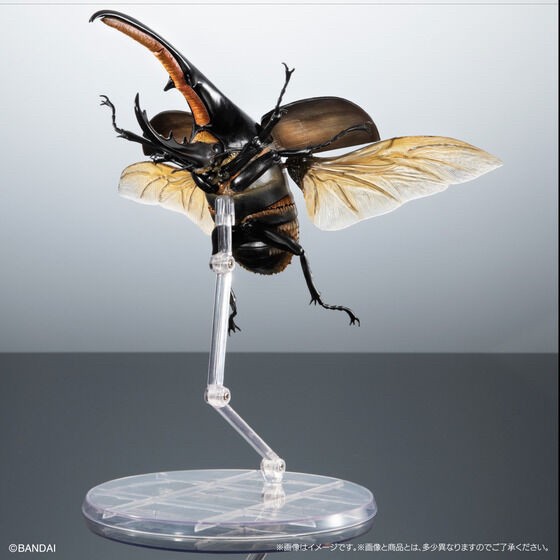 PRE-ORDER : Ikimono Encyclopedia Premium Hercules Beetle (Dynastes hercules)