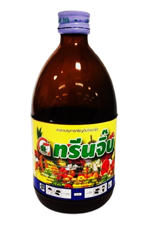 ทรีนจิ๊บ[จิบเบอเรลลิคเอซิด3.0%(100ซีซี) ยายืดยอด ขยาย กิ่ง ก้าน ใบ ช่อ ขั้ว ปล้อง ฝัก ขยายผลเพิ่มน้ำหนัก เพิ่มความยาว เพิ่มผลผลิต