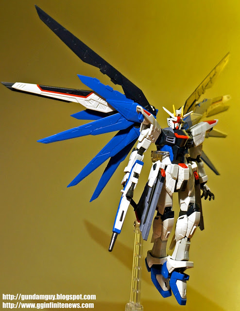RG 1/144 Freedom Gundam by Bandai