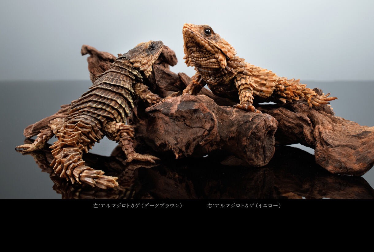 PRE-ORDER : Ikimono Encyclopedia Advance Armadillo Lizards (Random)