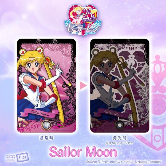 PRE-ORDER : Bishoujo Senshi Sailor Moon PIICA + Clear Pass Case [10 types in total]