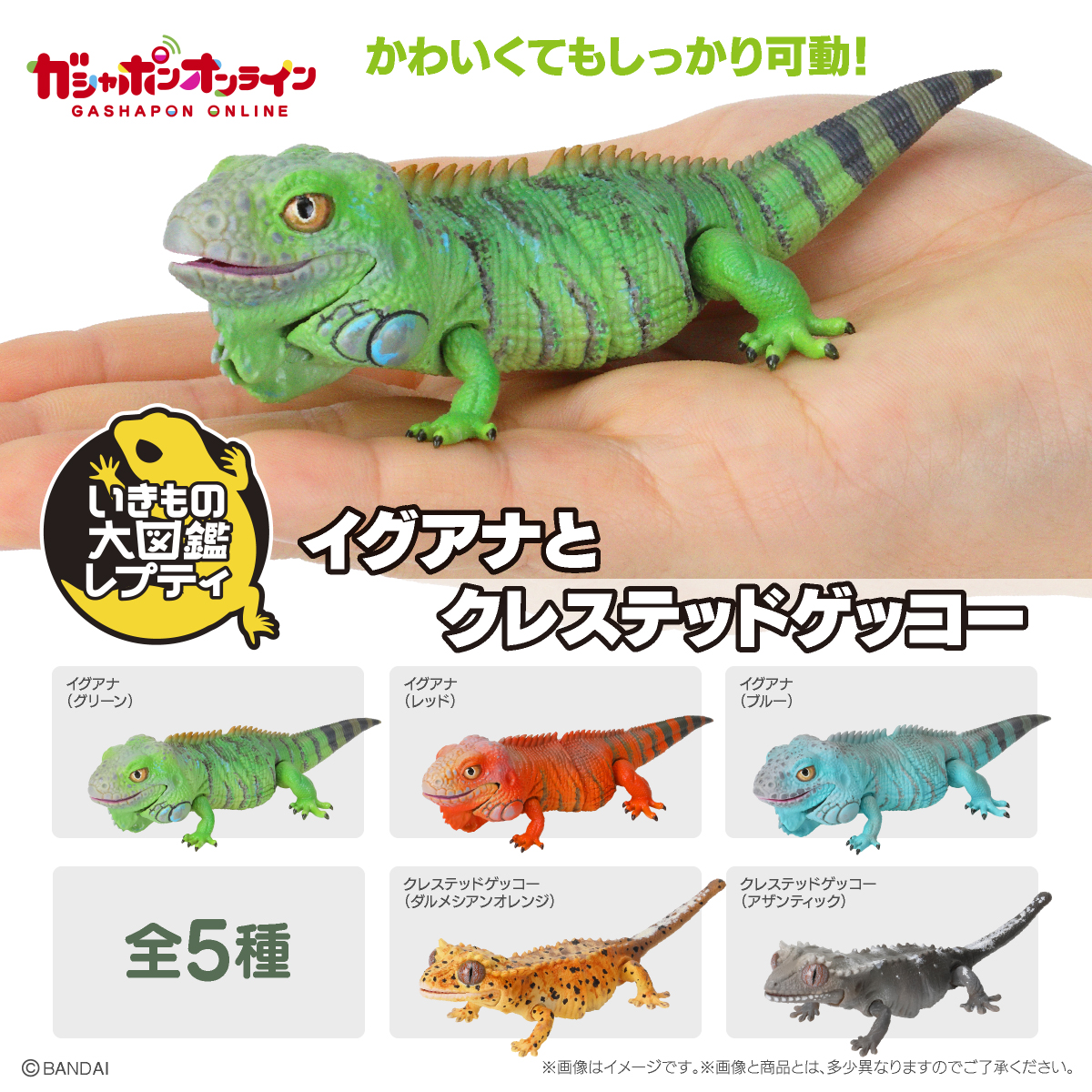$R Ikimono Encyclopedia Reptile Iguana & Crested Gecko