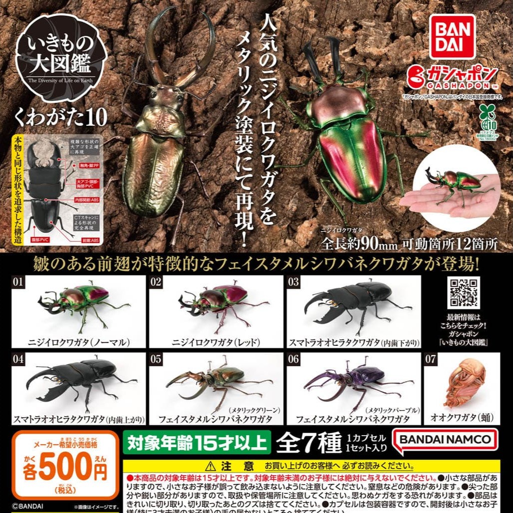 $ Ikimono Encyclopedia Stag Beetle 10