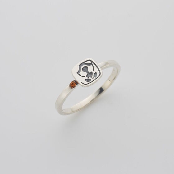 PRE-ORDER : Kamen Rider Revice Ring Set